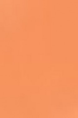 Derivan ErgoPro Marker:  Orange