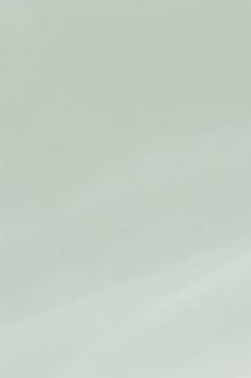 Derivan ErgoPro Marker:  Sage