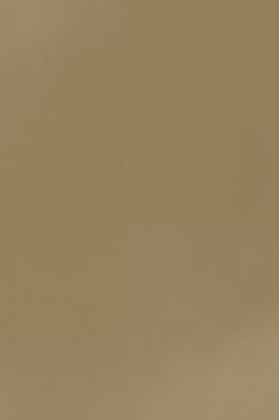 Derivan ErgoPro Marker:  Sepia