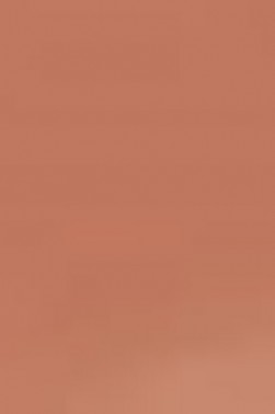 Derivan ErgoPro Marker:  Sienna