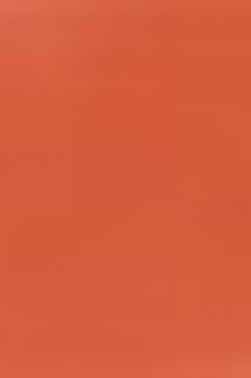 Derivan ErgoPro Marker:  Spice