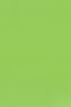 Derivan ErgoPro Marker:  Spring Green