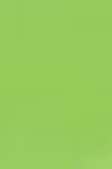 Derivan ErgoPro Marker:  Spring Green