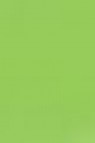 Derivan ErgoPro Marker:  Spring Green