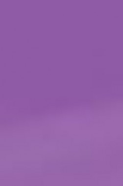 Derivan ErgoPro Marker:  Violet