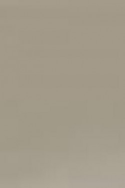 Derivan ErgoPro Marker:  Warm Gray 80%