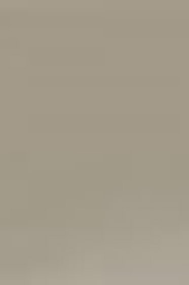 Derivan ErgoPro Marker:  Warm Gray 80%