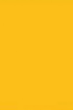 Winsor & Newton Pigment Marker: Winsor Yellow Deep