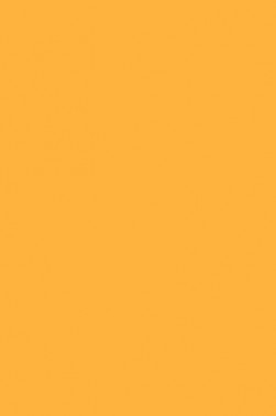 Winsor & Newton Pigment Marker: Yellow Orange