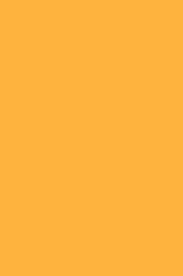 Winsor & Newton Pigment Marker: Yellow Orange