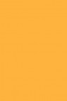 Winsor & Newton Pigment Marker: Yellow Orange