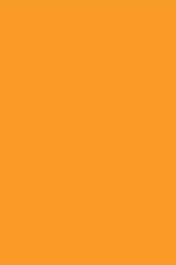 Winsor & Newton Pigment Marker: Winsor Orange