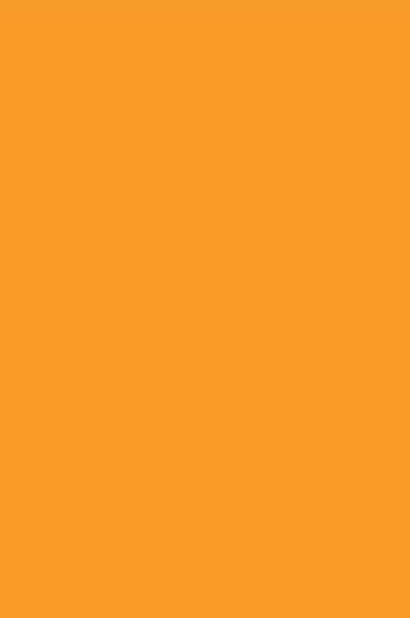 Winsor & Newton Pigment Marker: Winsor Orange