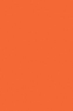 Winsor & Newton Pigment Marker: Winsor Orange (Red Shade)