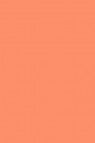Winsor & Newton Pigment Marker: Coral