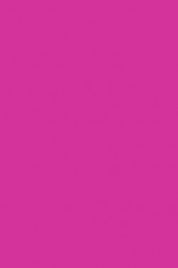 Winsor & Newton Pigment Marker: Quinacridone Magenta