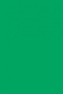 Winsor & Newton Pigment Marker: Emerald