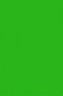Winsor & Newton Pigment Marker: Apple Green