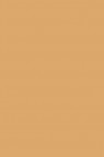 Winsor & Newton Pigment Marker: Burnt Umber Light