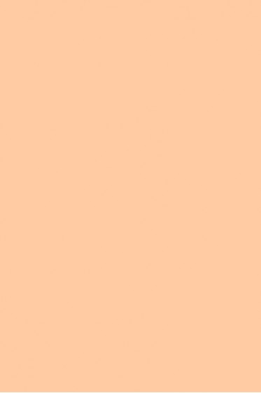 Winsor & Newton Pigment Marker: Light Sienna