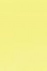 Derivan ErgoPro Marker: Canary Yellow