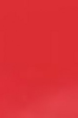 Derivan ErgoPro Marker: Red