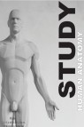 Models: Human Anatomy Male Study