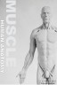 Models: Human Anatomy Male Muscle