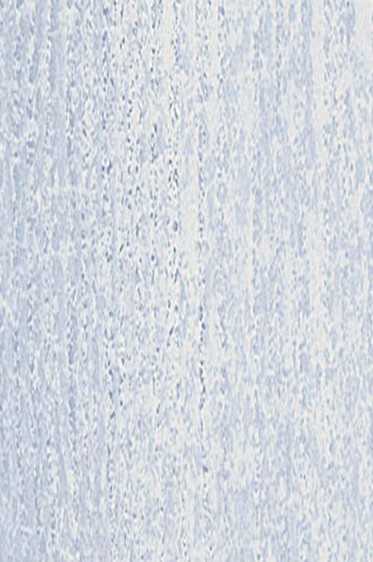 Jack Richeson Handmade Soft Pastel: Grey 168