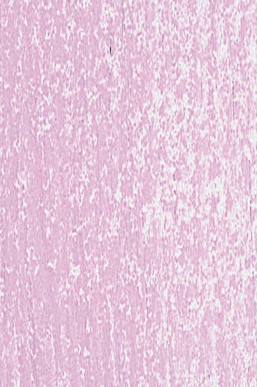 Jack Richeson Handmade Soft Pastel: Red 63