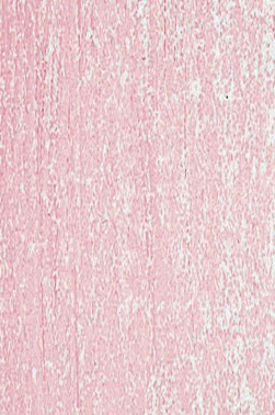 Jack Richeson Handmade Soft Pastel: Red 75