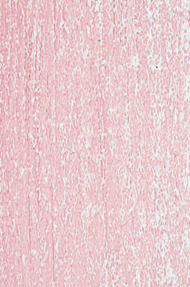Jack Richeson Handmade Soft Pastel: Red 75