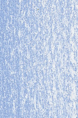 Jack Richeson Medium Soft Pastel: Blue 35