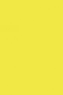 Maimeri Classico Fine Oil Pastel: Naples Yellow