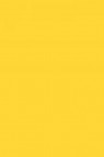 Maimeri Classico Fine Oil Pastel: Primary Yellow