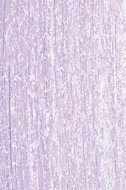 Jack Richeson Medium Soft Pastel: Blue 65
