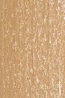 Jack Richeson Medium Soft Pastel: Earth 150
