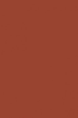 Winsor & Newton ProMarker: Chestnut