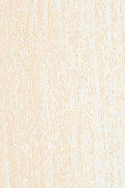 Jack Richeson Medium Soft Pastel: Earth 77