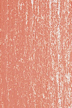 Jack Richeson Medium Soft Pastel: Earth 91