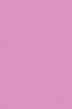 Winsor & Newton ProMarker: Fuchsia Pink
