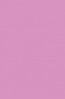 Winsor & Newton ProMarker: Fuchsia Pink