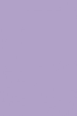Winsor & Newton ProMarker: Lilac