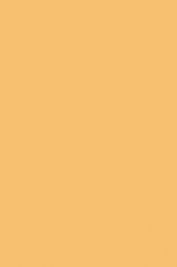 Winsor & Newton ProMarker: Mustard