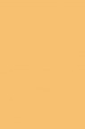 Winsor & Newton ProMarker: Mustard
