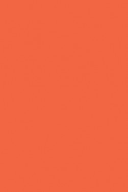 Winsor & Newton ProMarker: Orange