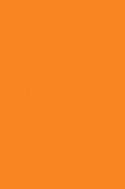 Winsor & Newton ProMarker: Pumpkin