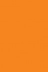 Winsor & Newton ProMarker: Pumpkin