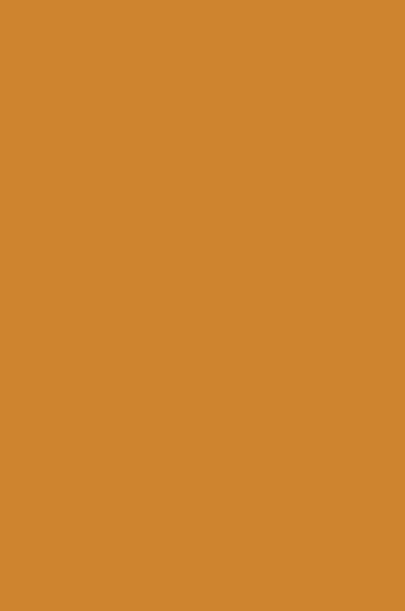 Winsor & Newton ProMarker: Raw Sienna