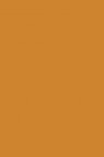 Winsor & Newton ProMarker: Raw Sienna